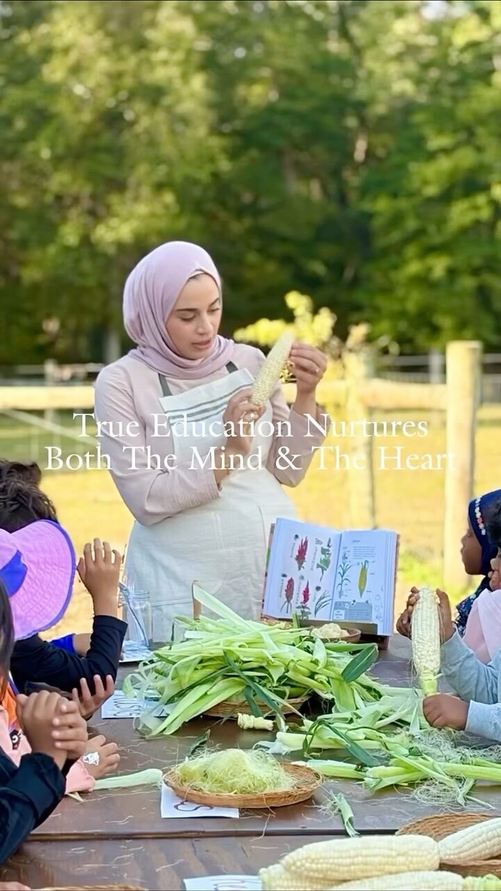 Instagram post from fitra.nature.education. This post is in position 0.
