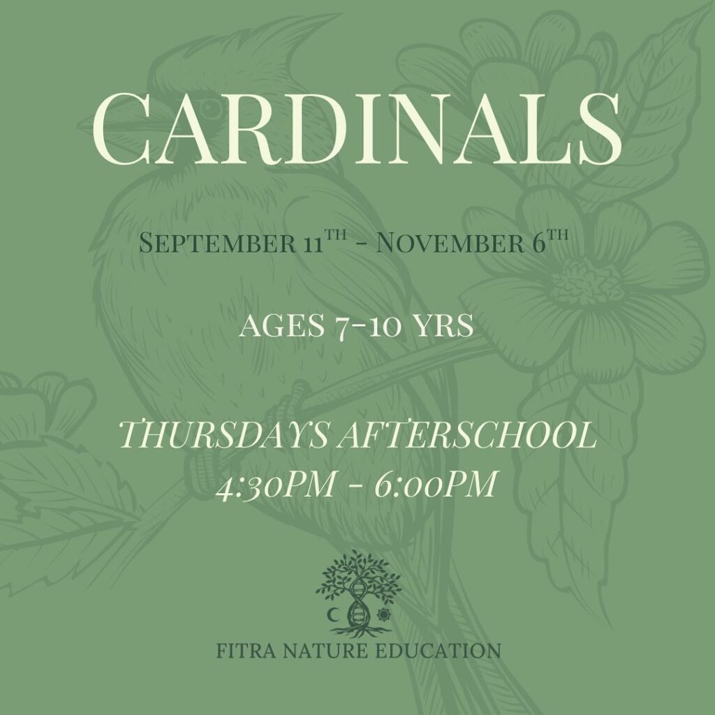 Instagram post from fitra.nature.education. This post is in position 3.