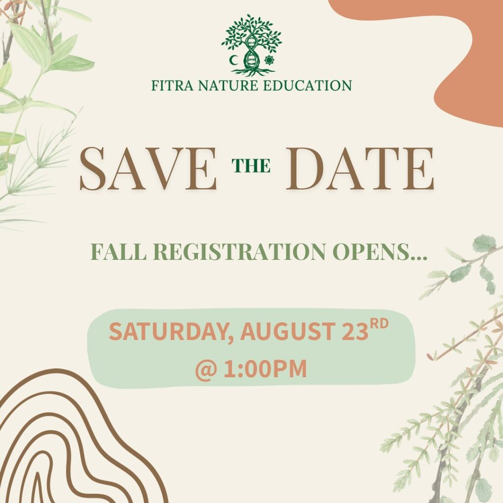 Instagram post from fitra.nature.education. This post is in position 0.