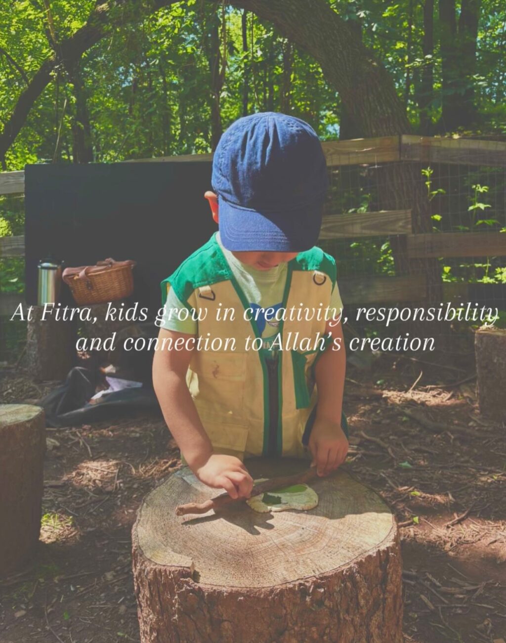 Instagram post from fitra.nature.education. This post is in position 1.