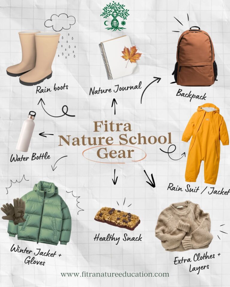 Instagram post from fitra.nature.education. This post is in position 5.