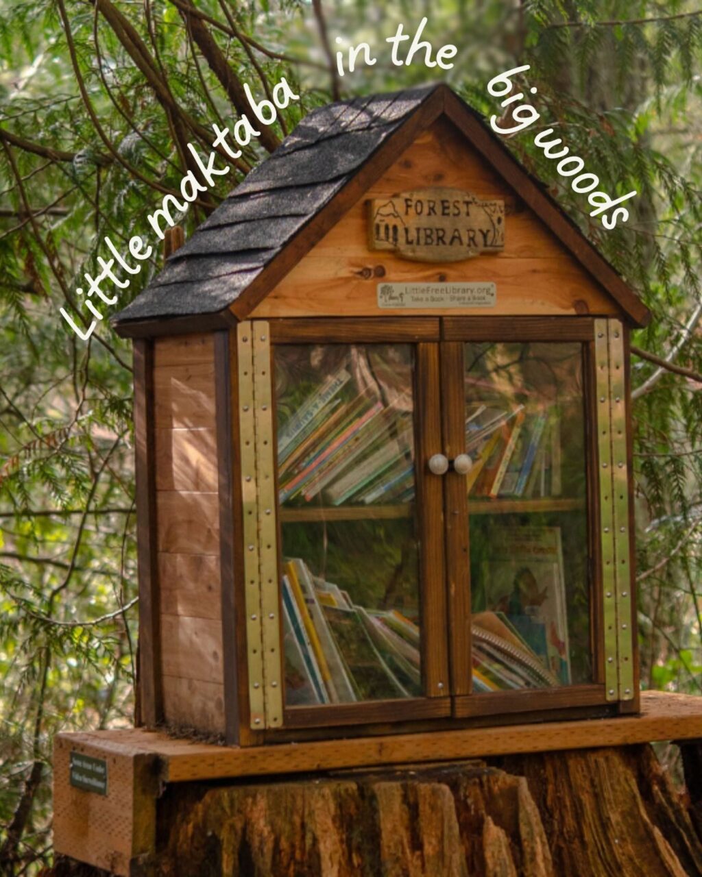 Instagram post from fitra.nature.education. This post is in position 3.