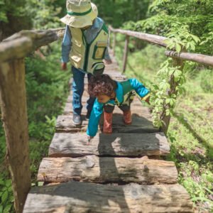 Hummingbirds Curriculum