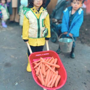 Chickadees Curriculum